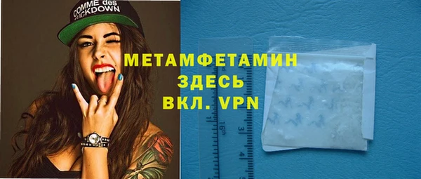 шишки Абаза
