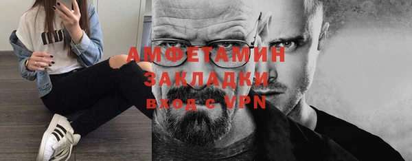 шишки Абаза
