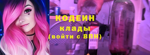 шишки Абаза