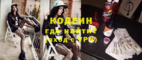 шишки Абаза