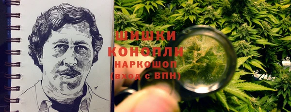 шишки Абаза