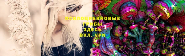 ПСИЛОЦИБИНОВЫЕ ГРИБЫ Наволоки